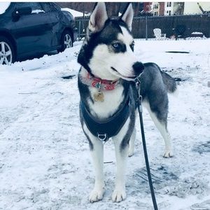 Meet your Posher, Jose